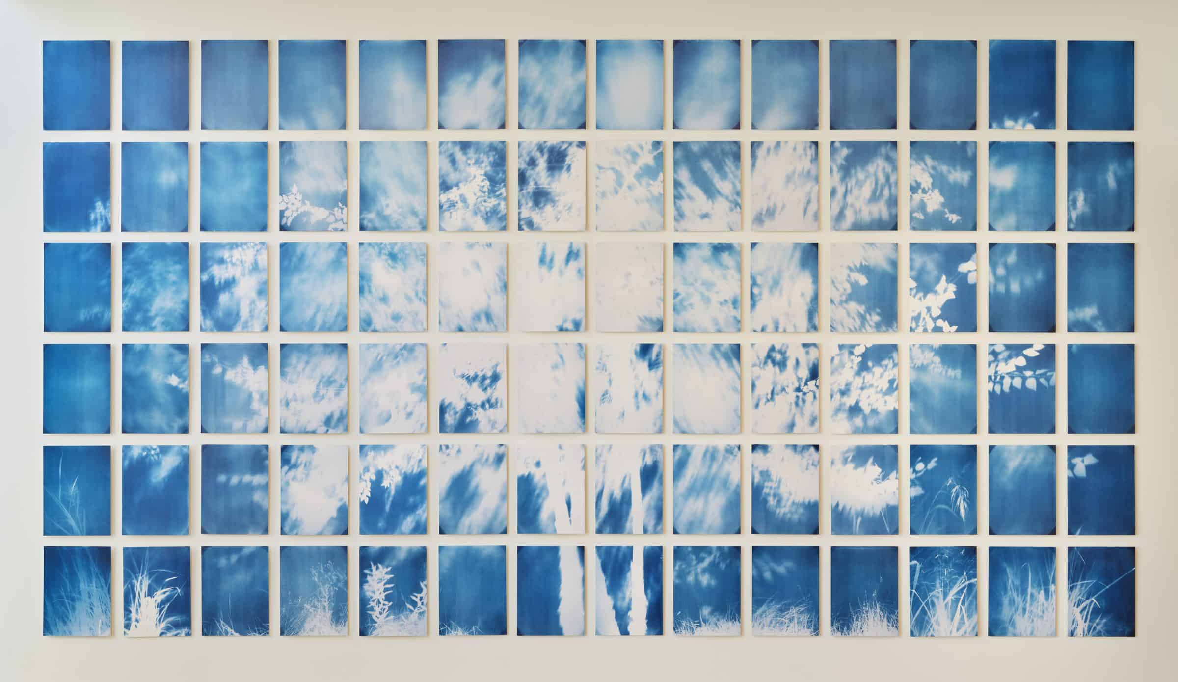 An art installation of 84 rectangles arranged in a 6 by 8 grid. Together they create an image of white tree forms on blue.