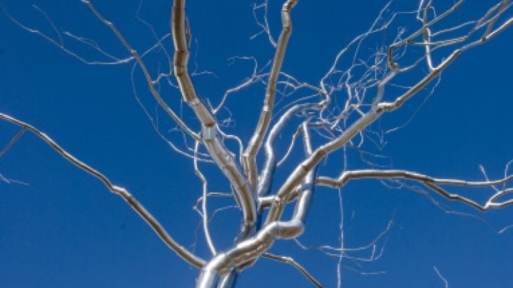 Image for Time-Lapse: Installing the “Silver Tree”