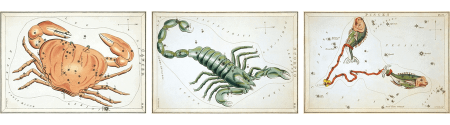 Color illustrations of the three water sign zodiac constellations.