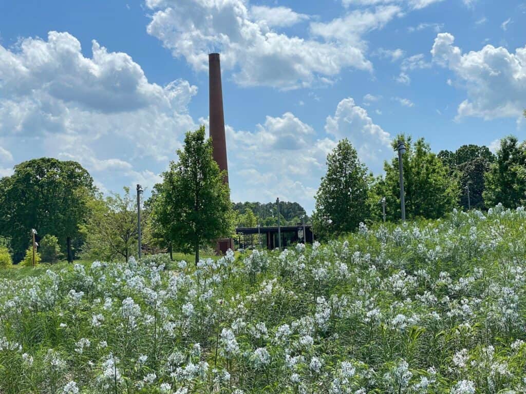 A field of wildflowers with tall green trees and steel light posts scattered throughout. Nestled in the field is a flat-roofed, black steel and glass building. A brick smokestack looms the background.