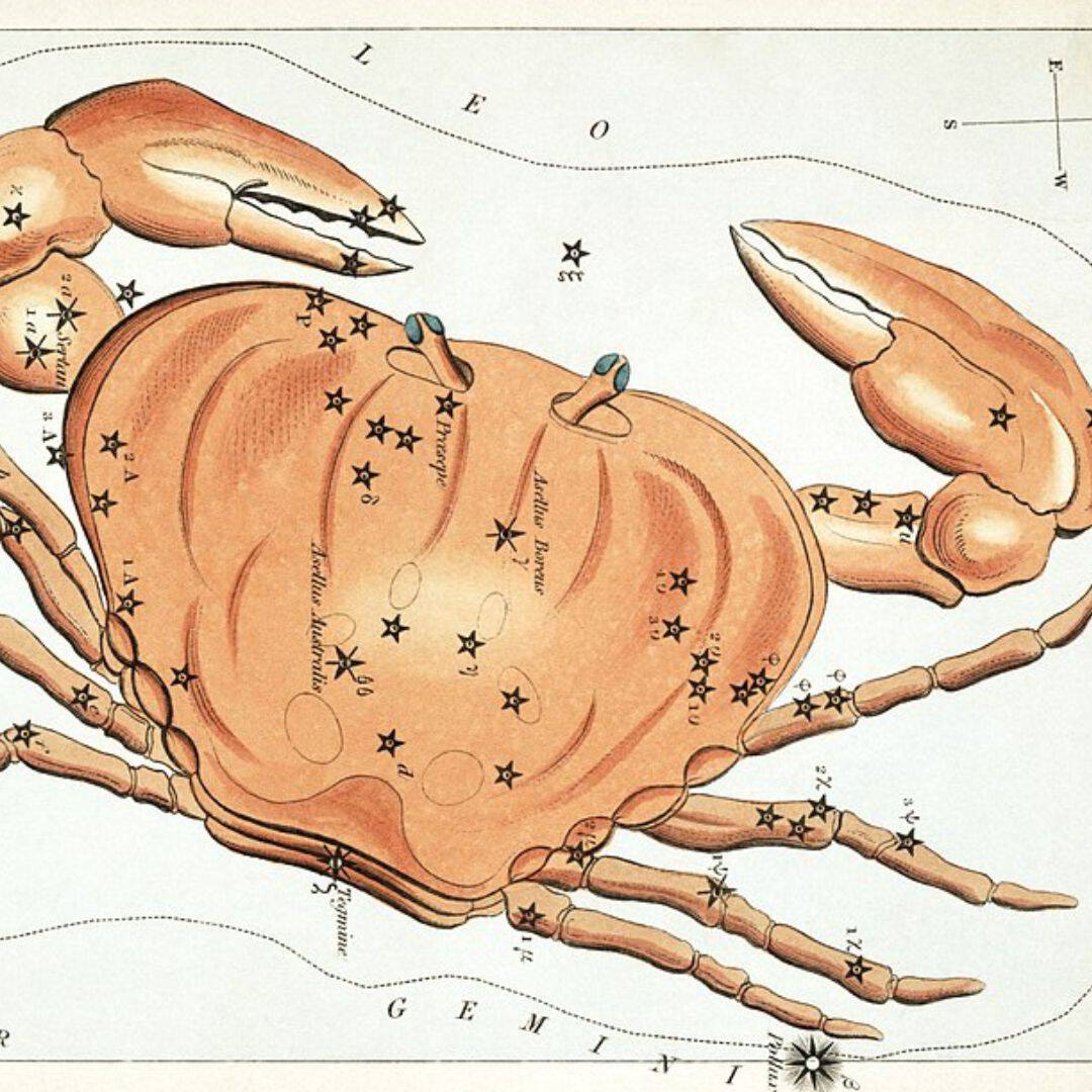 An illustration of the Cancer constellation of the zodiac, overlaid with a color drawing of a crab.