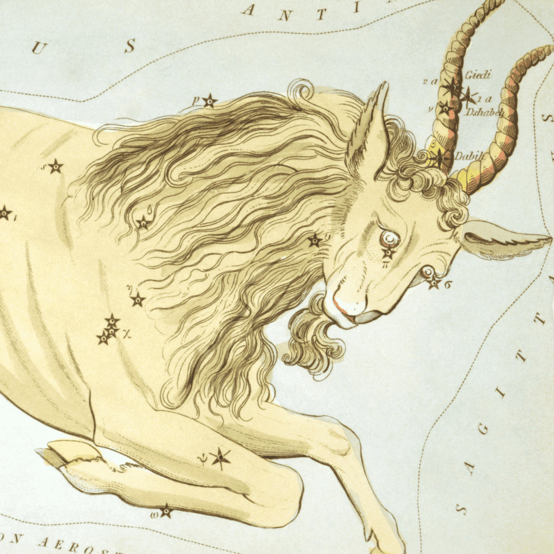 An illustration of the Capricorn constellation of the zodiac, overlaid with a color drawing of a sea-goat.