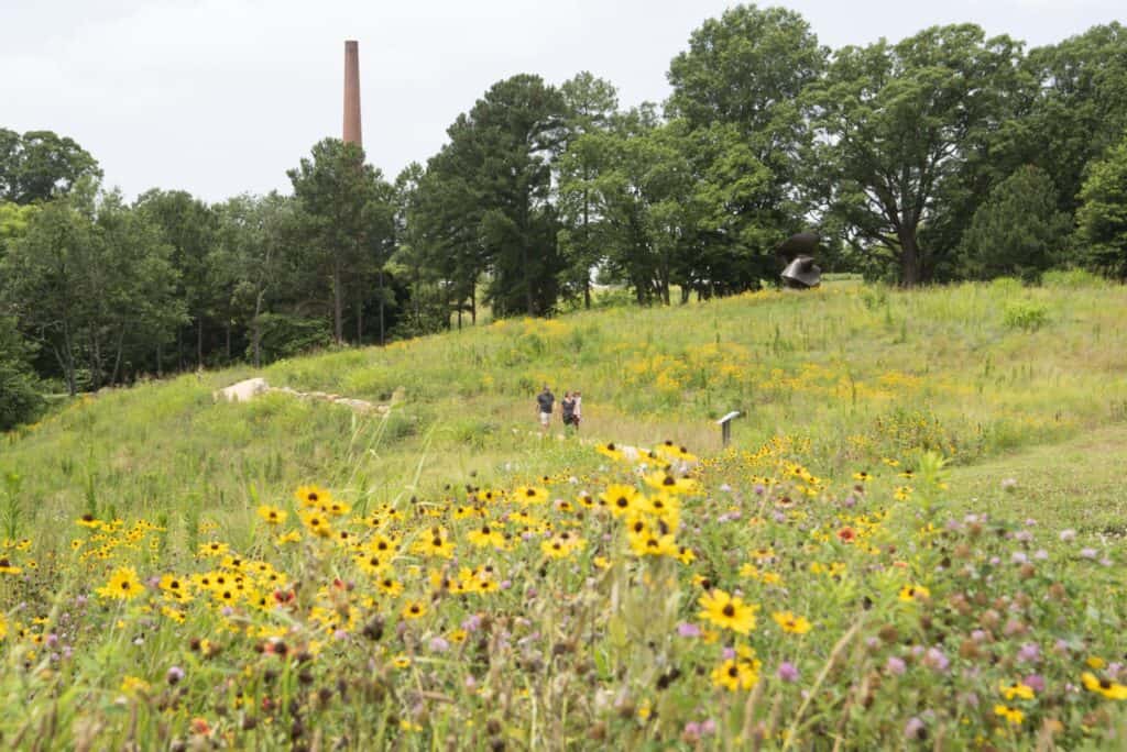 A hilly meadow bisected by a gravel path and filled with multi-colored wildflowers. In the background there are tall trees and a brick smokestack set against a gray sky. 