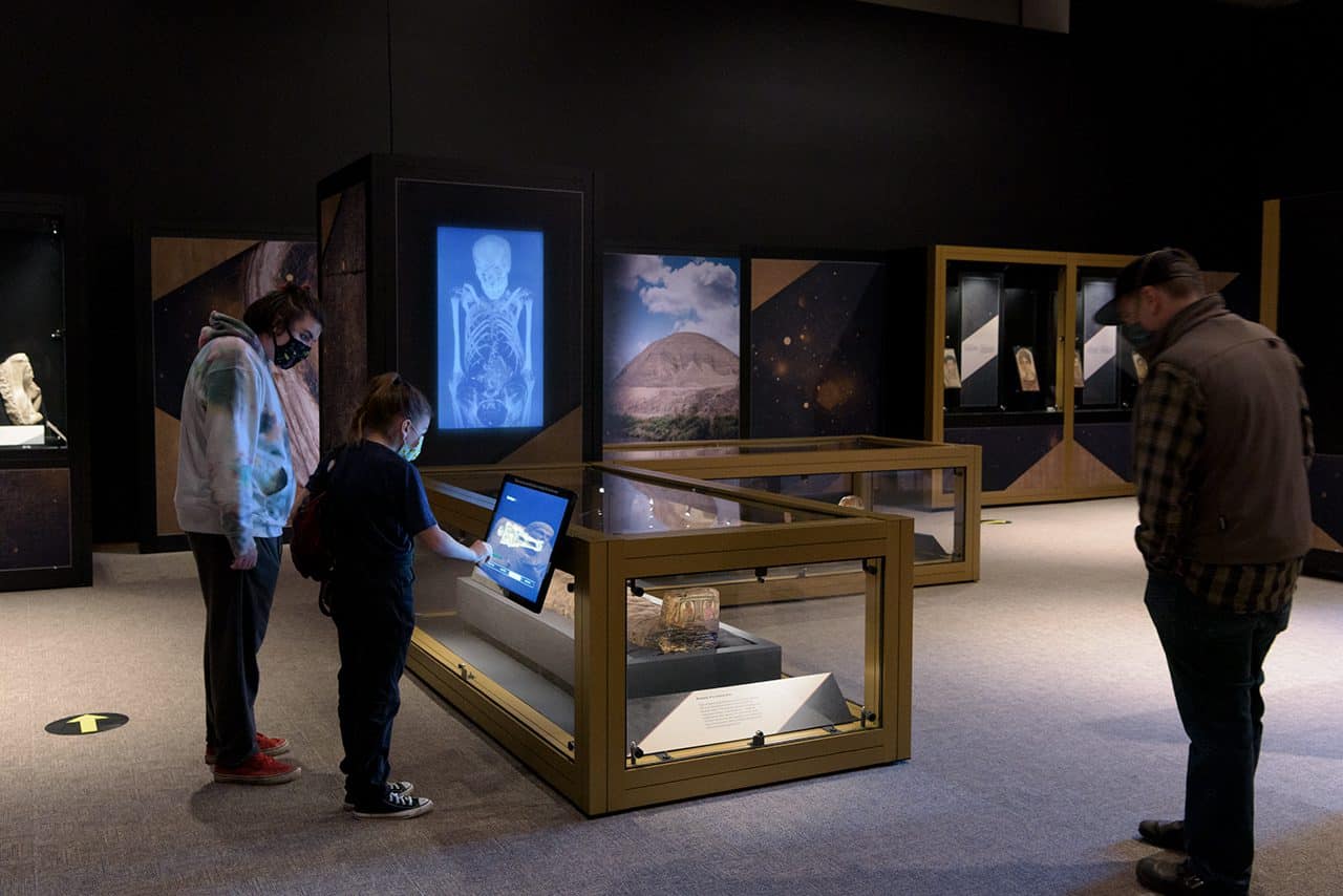 Image for Bringing Mummies to Life