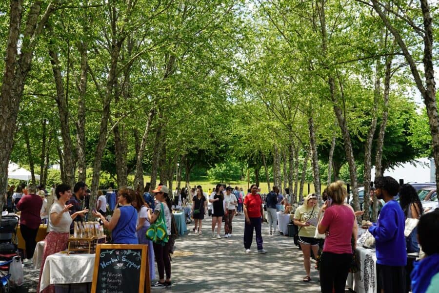 A tree-lined walk way outside with vendors setup and people walking through and shopping