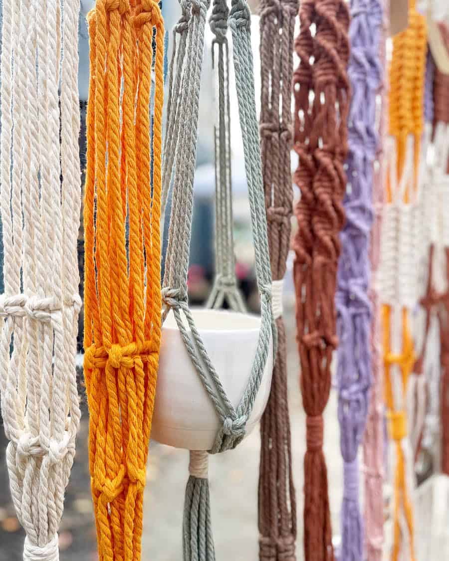 Multicolored macrame plant hangers displayed in a row; one in the middle holds a white pot.