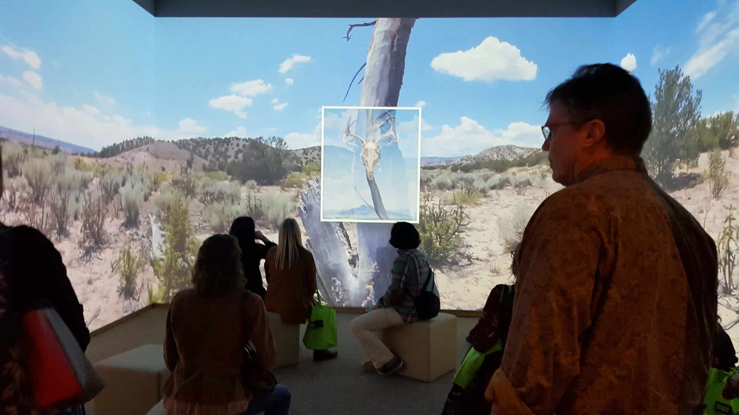 A group of people sit and stand in a room with a panoramic image of a desert landscape projected on three of its walls. 