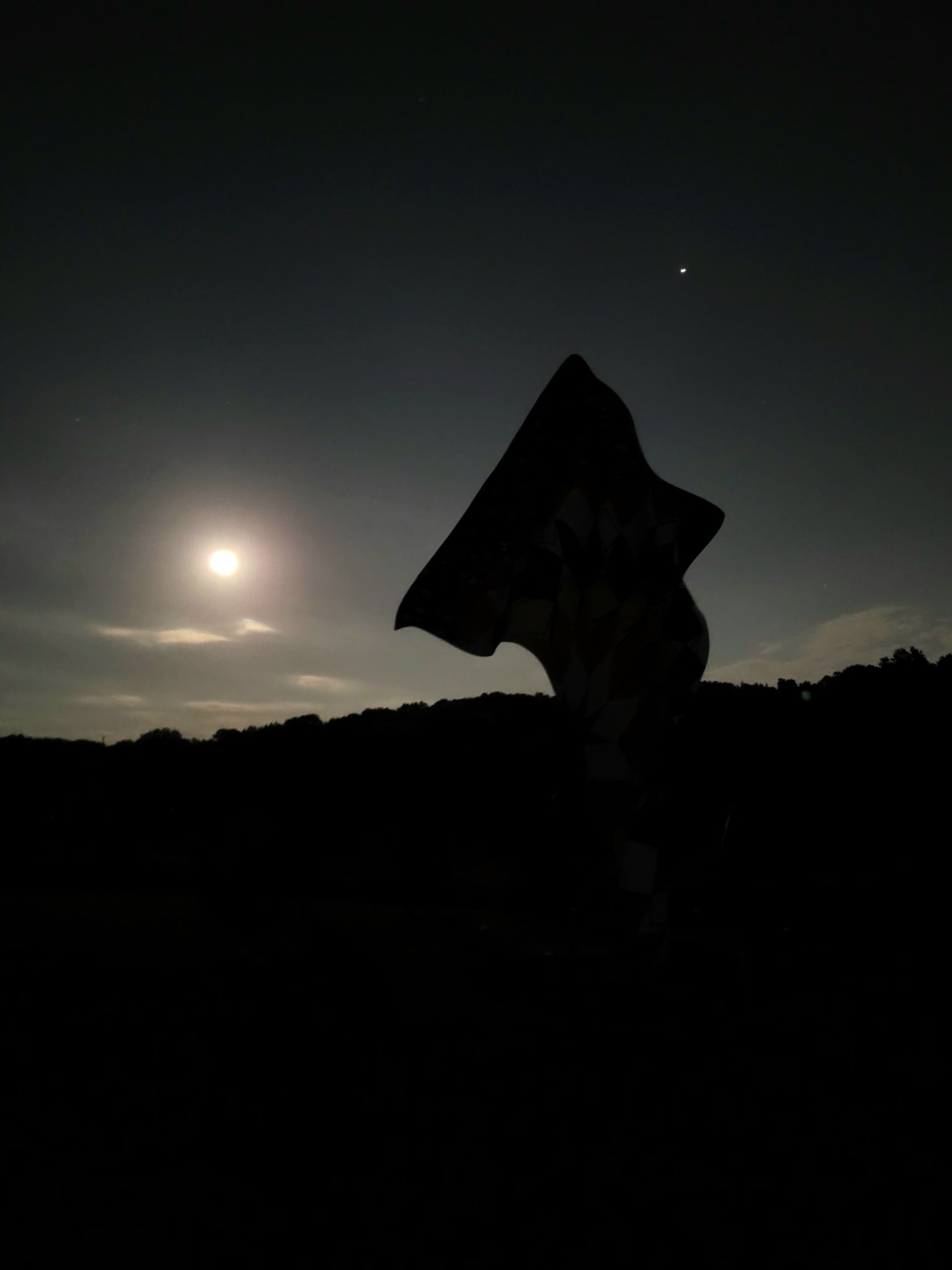 A low full moon illuminates a clear night sky. The tree line and a sculpture appear as silhouettes in the foreground.