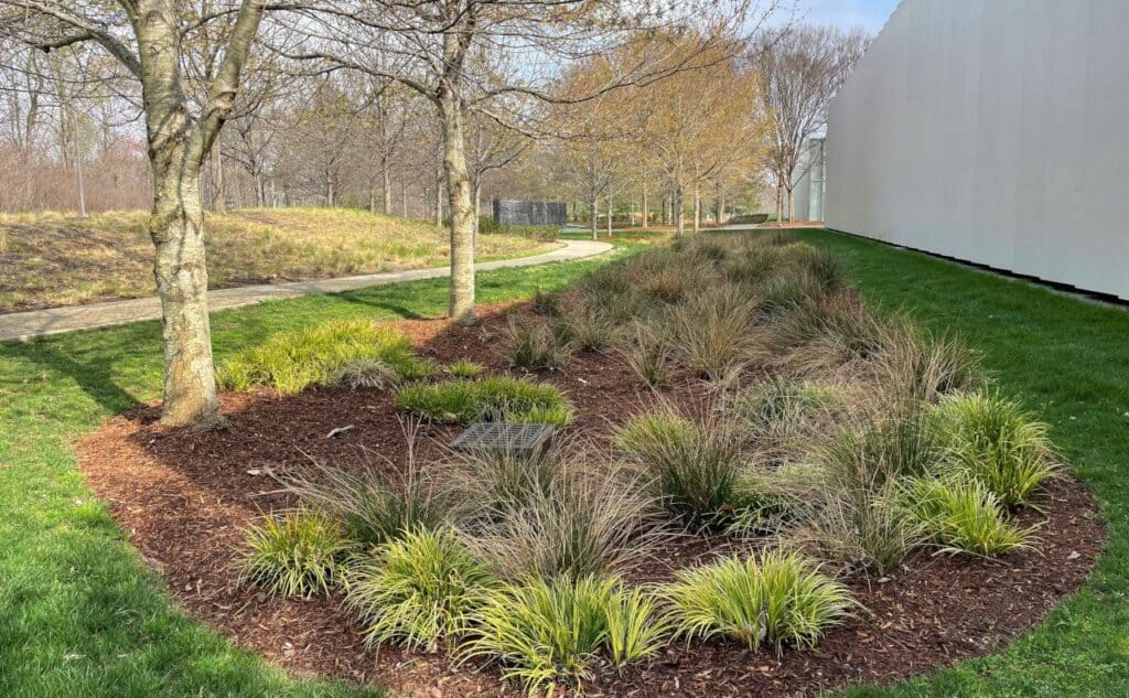 A mix of tall grasses and trees planted in a mulch patch, situated between an aluminum facade and a sidewalk. 