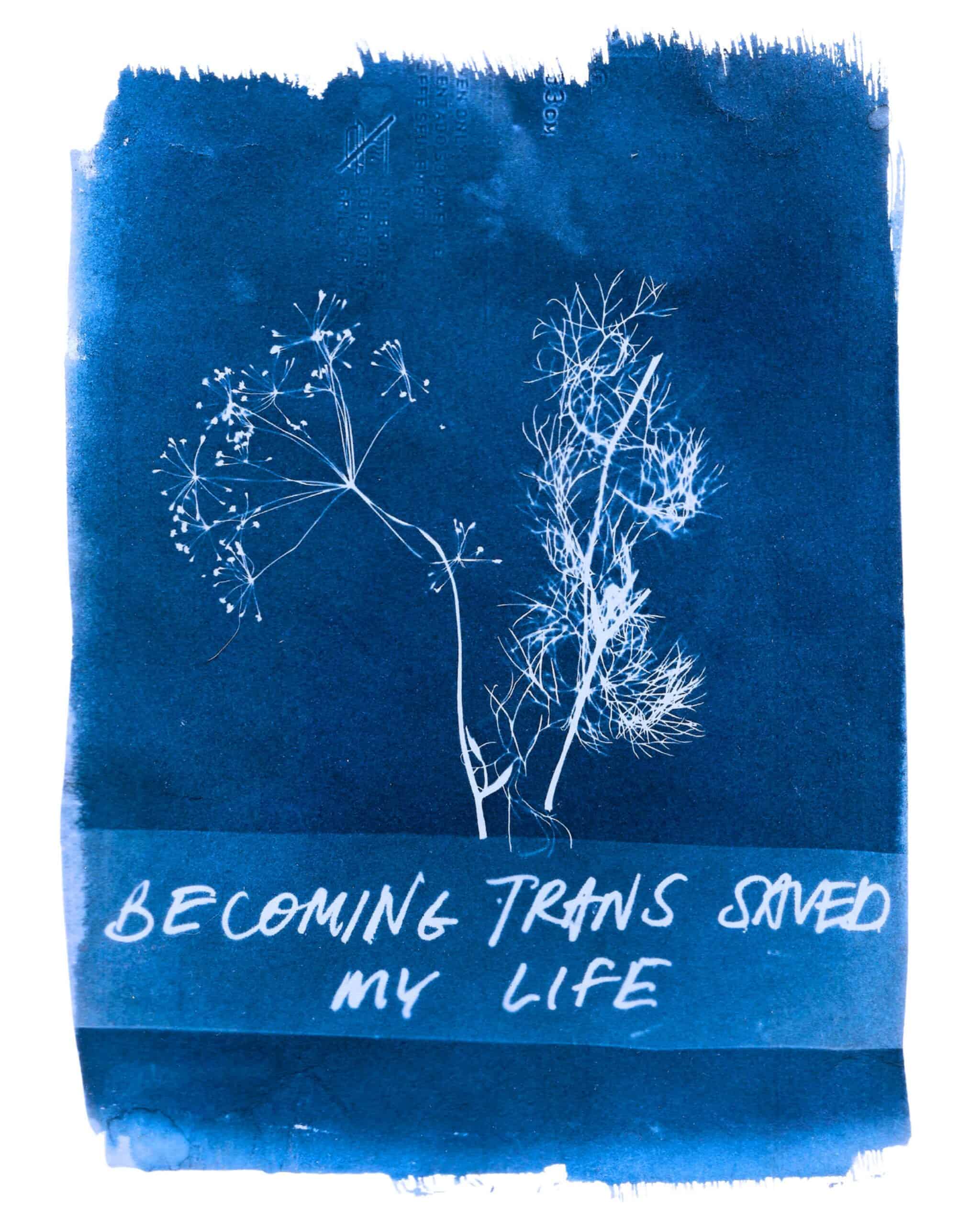 Cyanotype depicting two flowers with the phrase “Becoming trans saved my life” inscribed below.