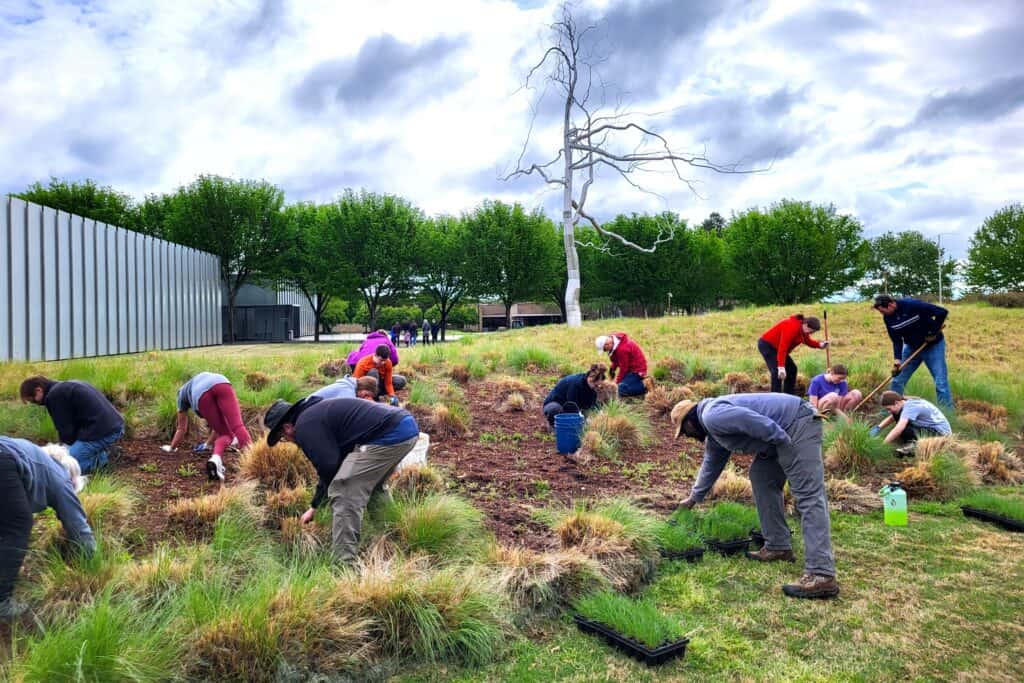 A group of people garden in a park setting.