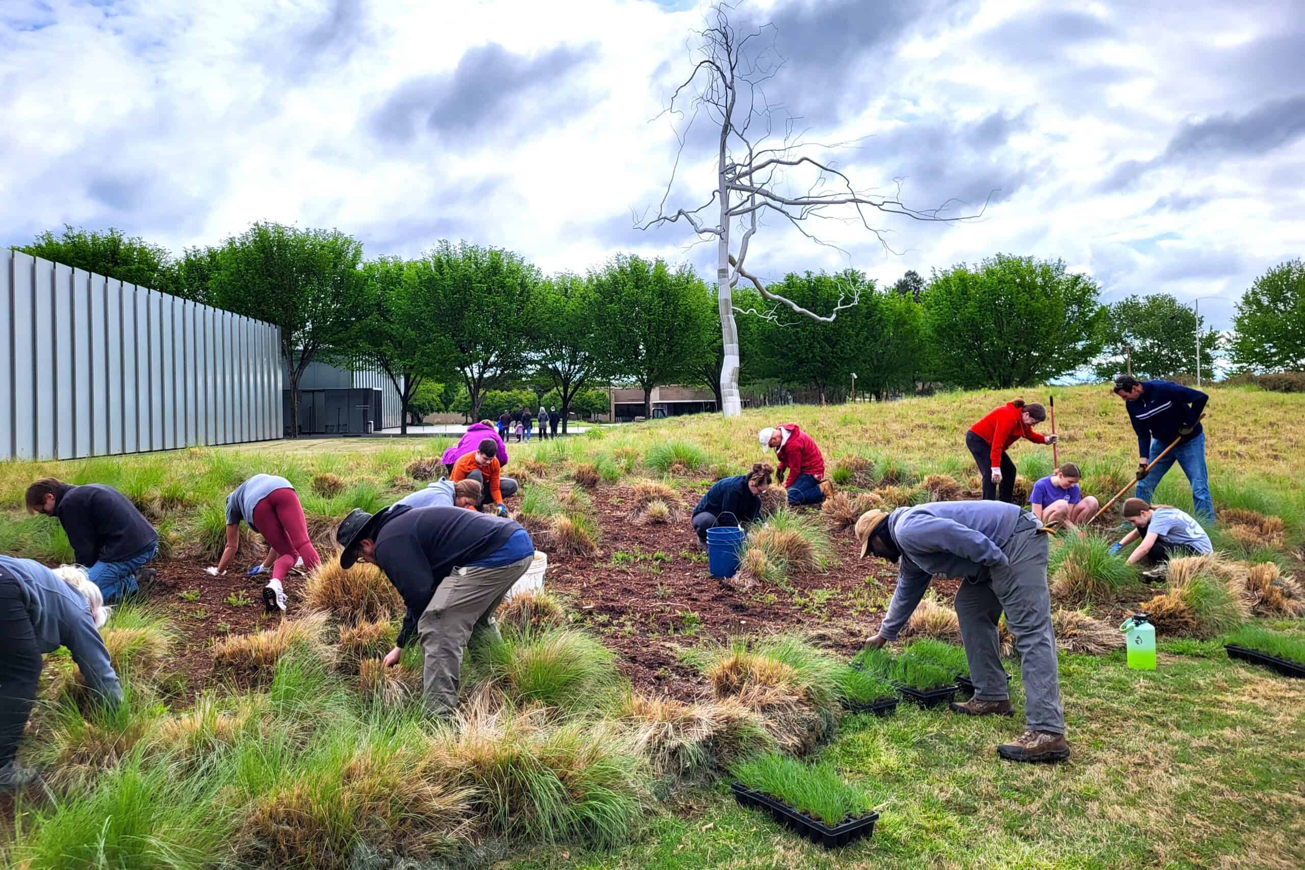 A group of people garden in a park setting.