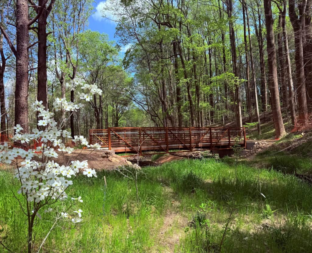 A picture of a metal bridge in a forest of green trees with a blooming plant in the front.
