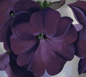 Georgia O’Keeffe, Petunias, 1925, oil on hardboard, 18 x 30 in., Fine Arts Museums of San Francisco, Museum purchase, gift of the M. H. de Young family, 1990.55; © 2018 Georgia O’Keeffe Museum