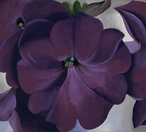 Georgia Oâ€™Keeffe, Petunias, 1925, oil on hardboard, 18 x 30 in., Fine Arts Museums of San Francisco, Museum purchase, gift of the M. H. de Young family, 1990.55; Â© 2018 Georgia Oâ€™Keeffe Museum